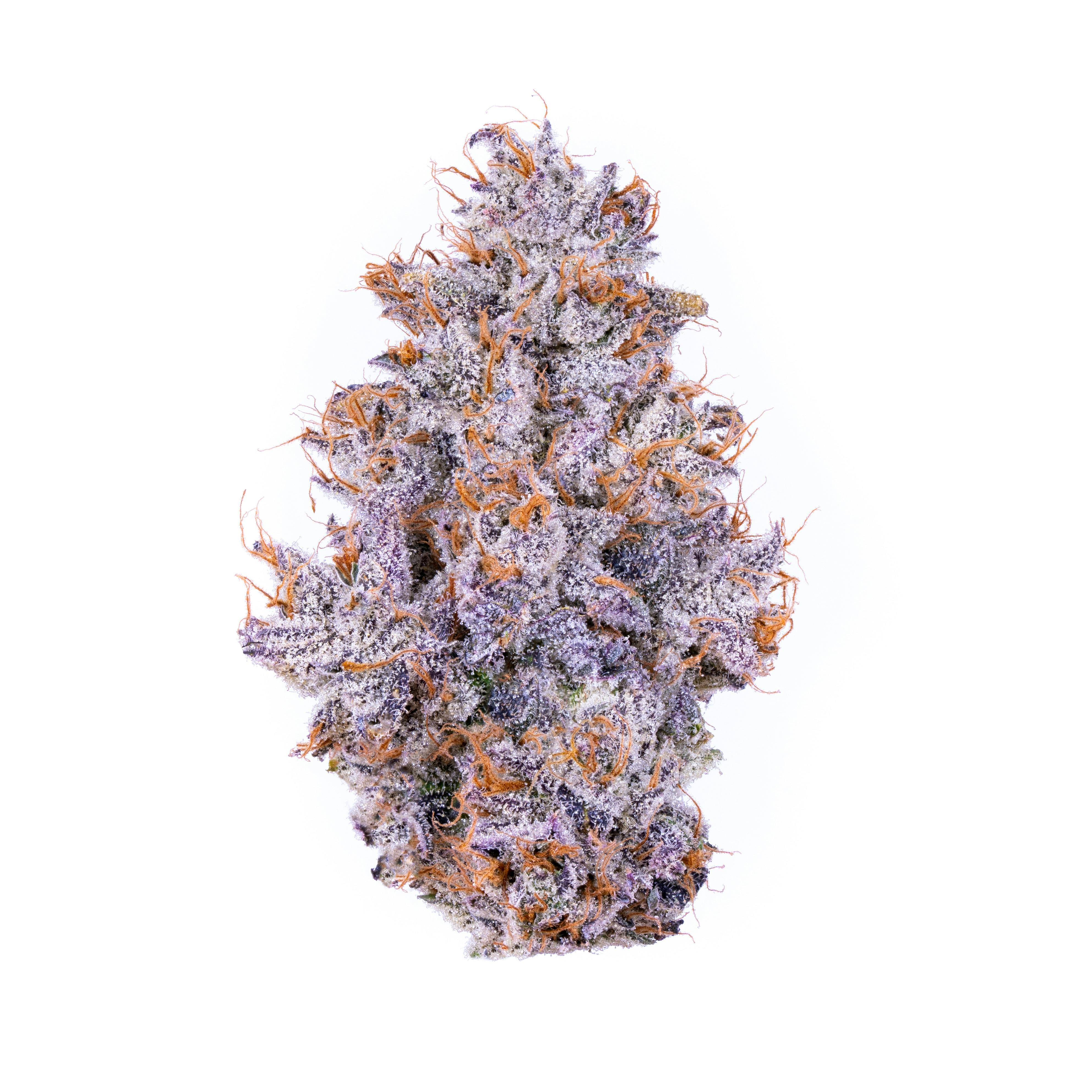 Alien Labs — Biskante