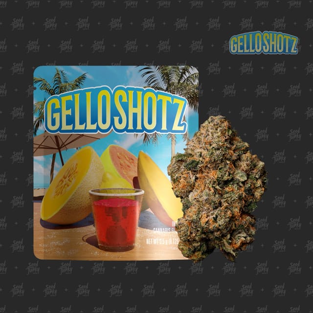 Gello Shotz | 3.5g