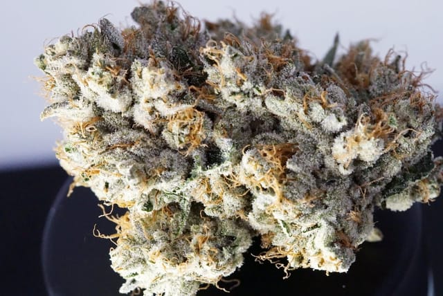 OG | 3.5g