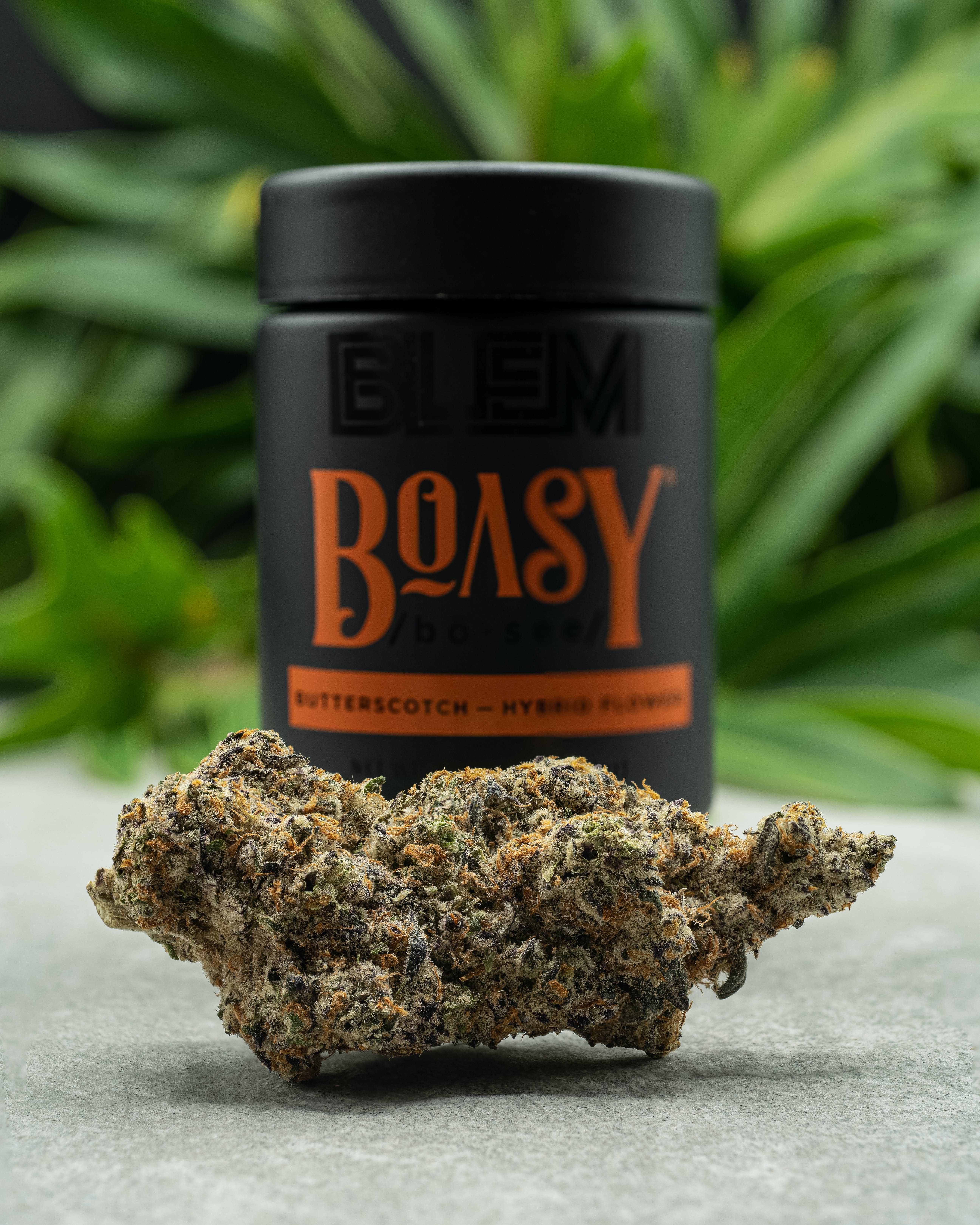 Boasy | 3.5G
