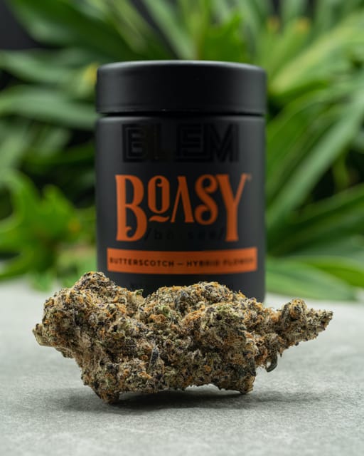 Boasy | 3.5G
