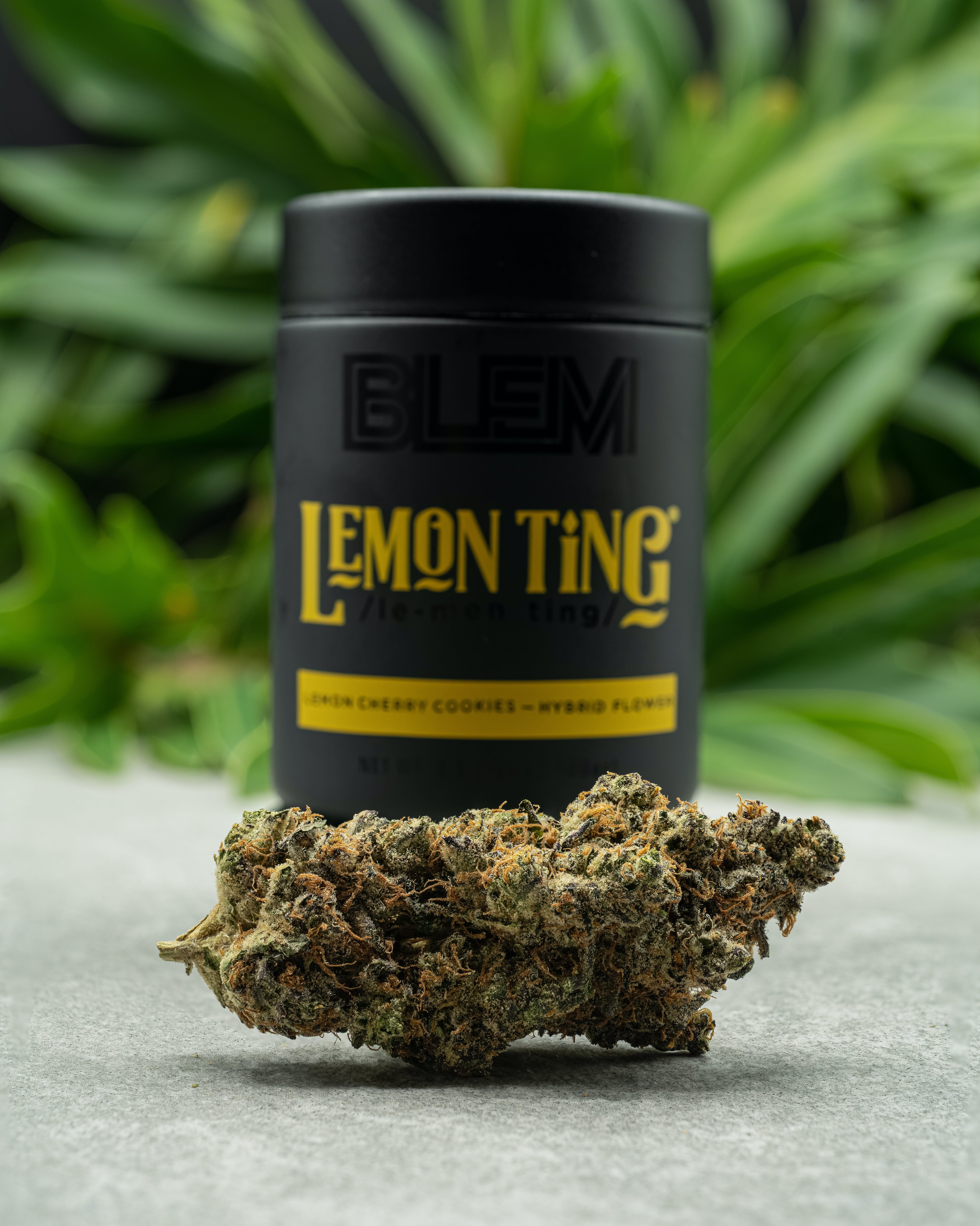 BLEM — P-lemon Ting