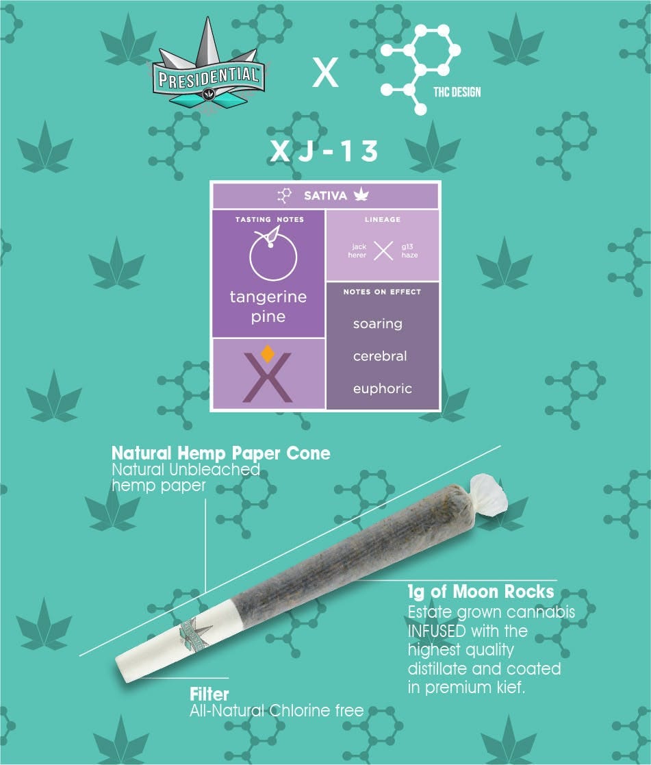 XJ-13 | 1g Pre-Roll
