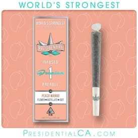 Presidential — Peach Mango