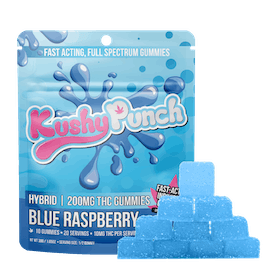 Kushy Punch — Blue Raspberry Individuals