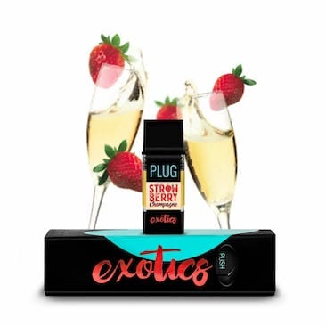 PlugPlay — Strawberry Champagne
