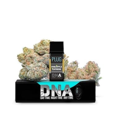 PlugPlay: Pineapple Express