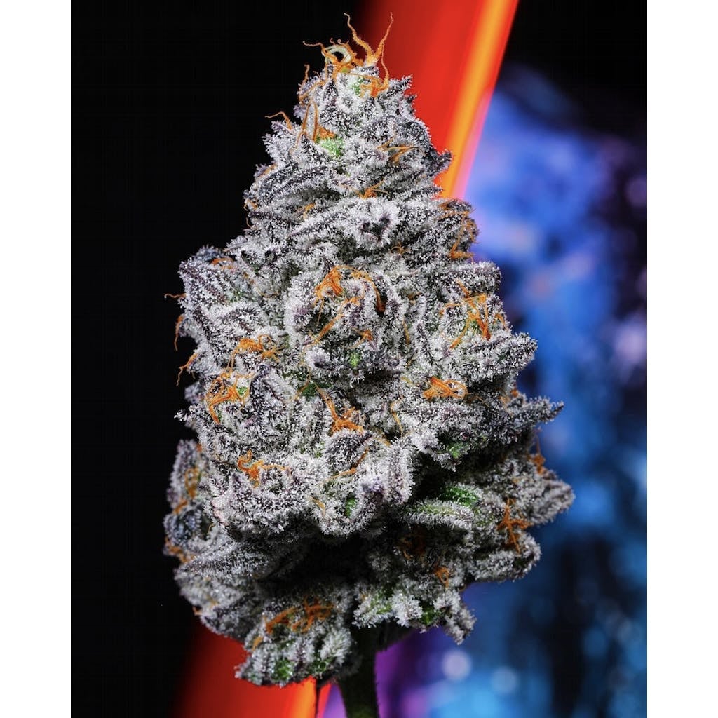 Alien Labs: Krypto Chronic