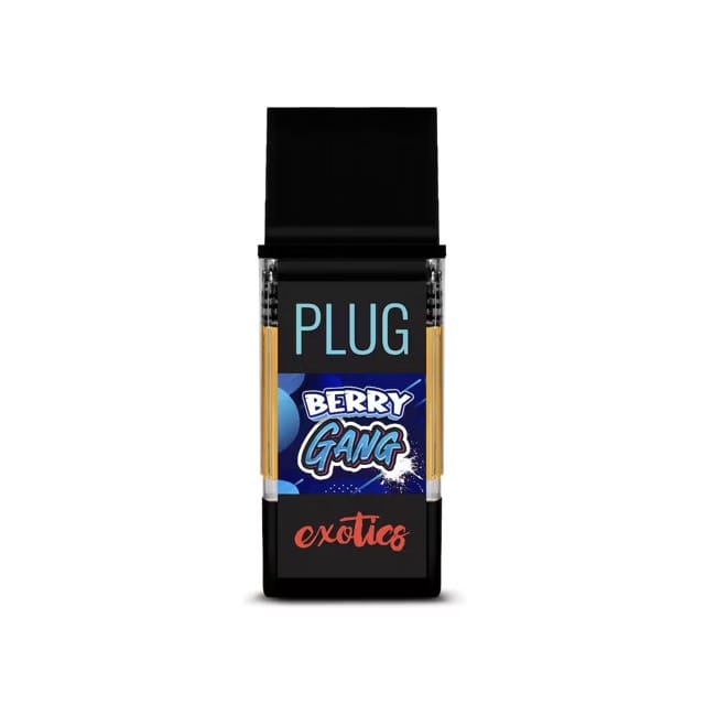 PlugPlay — Berry Gang