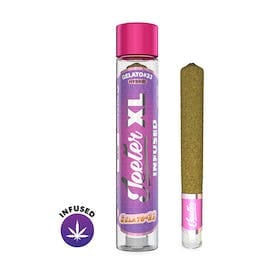 XL Gelato 33 | 2g Infused Preroll