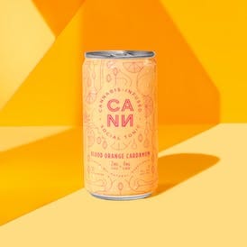 Blood Orange Cardamom 6pk | 2:4 THC:CBD 8oz Beverages