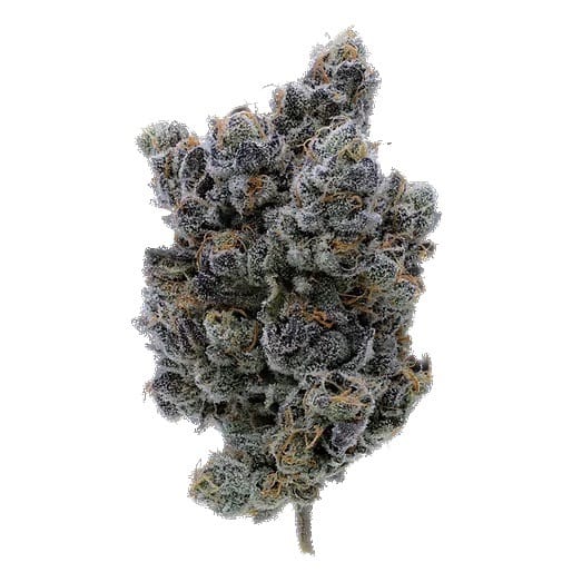 Fig Farms — Moonana Wreck