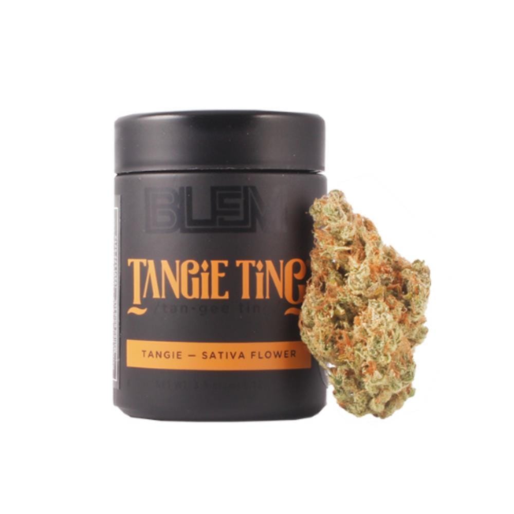 BLEM — Tangie Ting