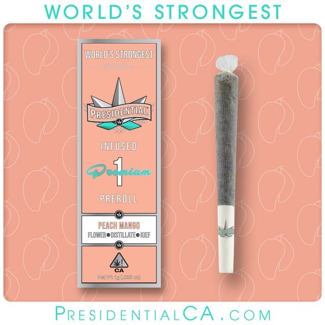 Presidential — Peach Mango