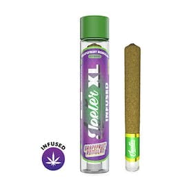 XL Grapefruit Romulan | 2g Infused Preroll