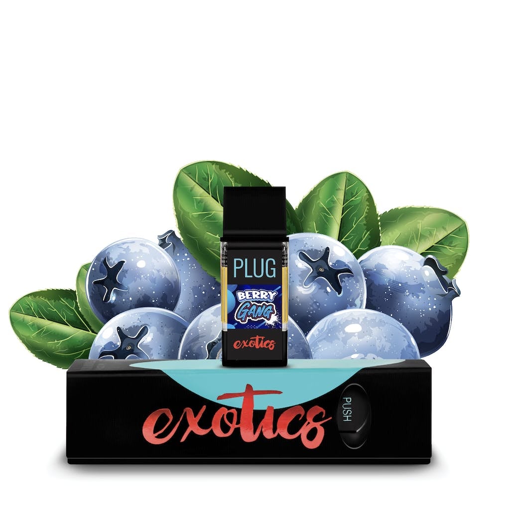 PlugPlay: Berry Gang