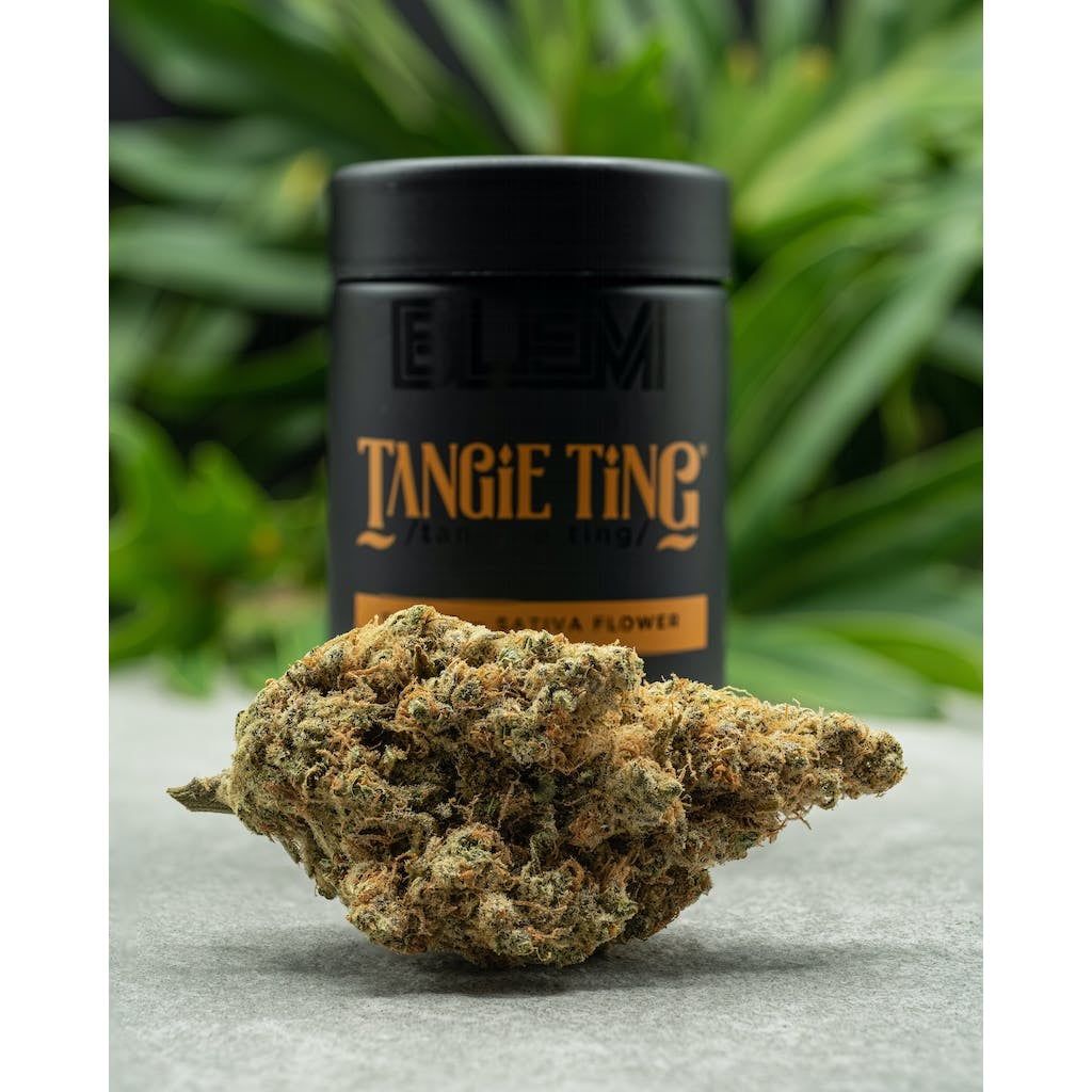 BLEM: Tangie Ting