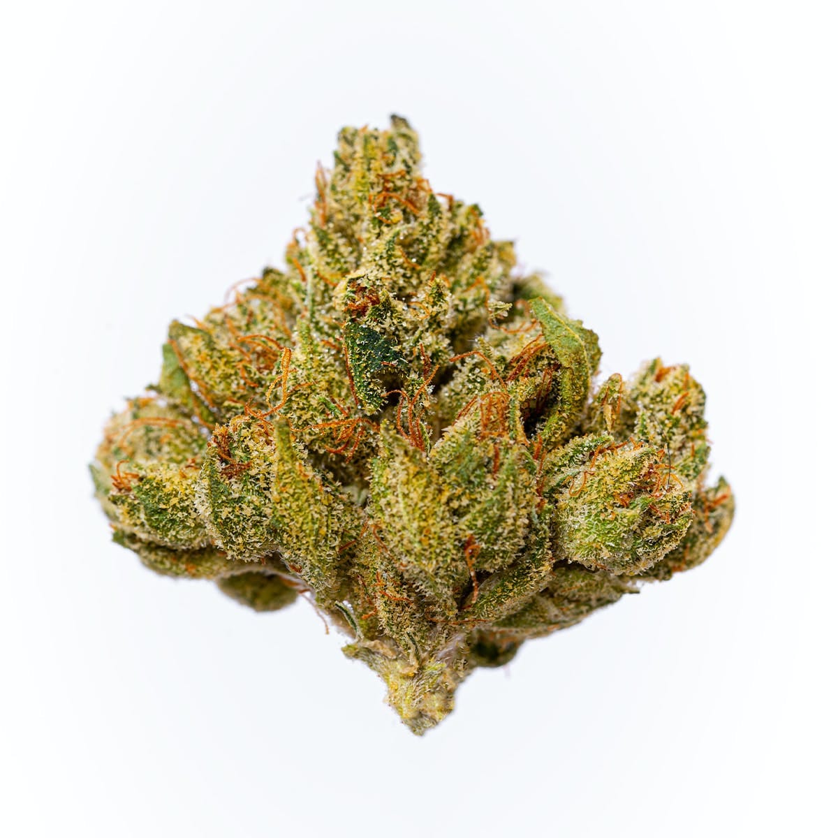 The Cure Company: Alien OG