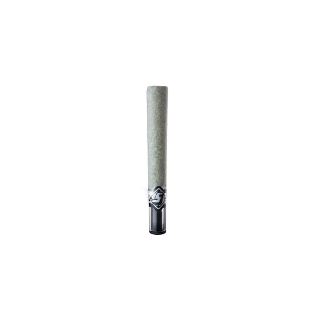 Adios MF | 1.5g Infused Preroll