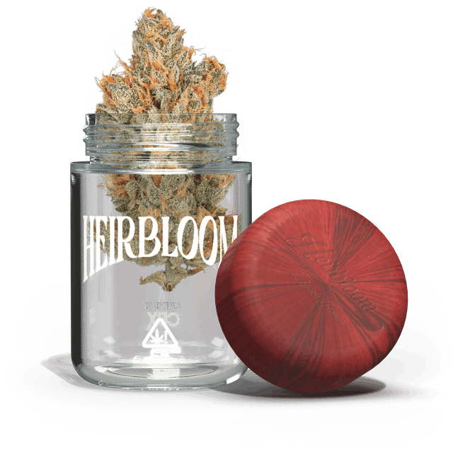 Heirbloom: Orange Crush