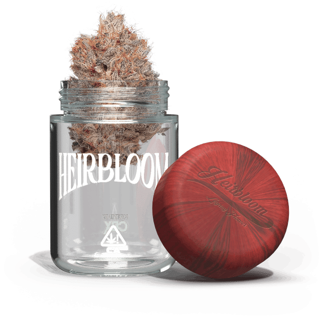 Heirbloom Legacy Flower — Blueberry