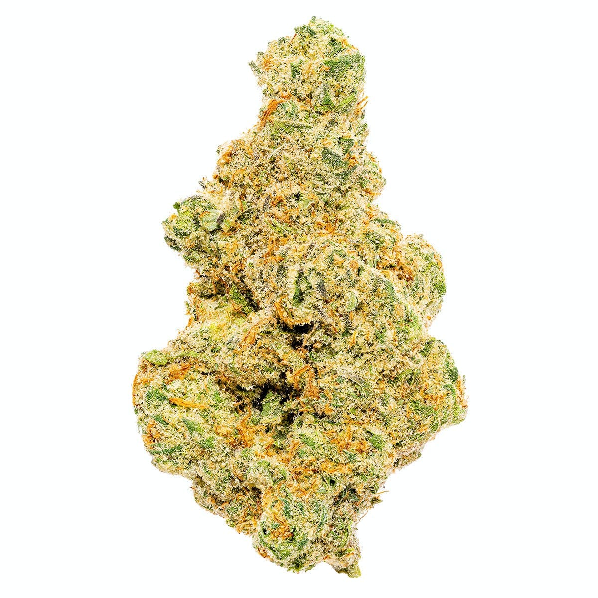 Papaya | 3.5G Flower