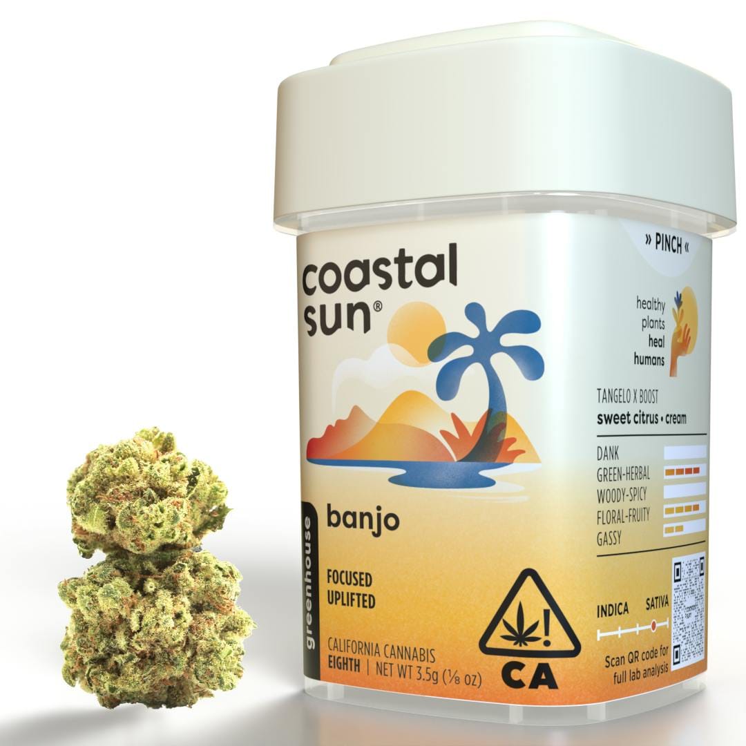 Coastal Sun — Banjo