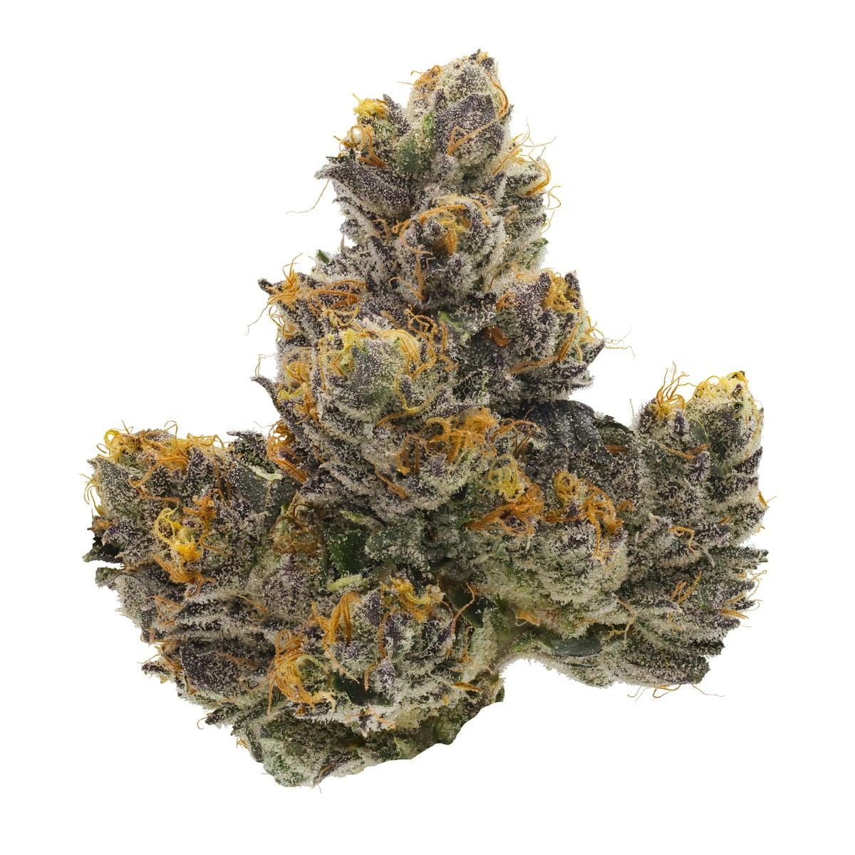 Couch Rider | 3.5g