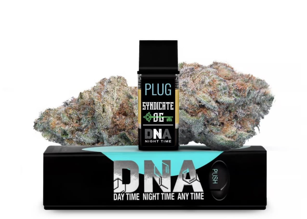 PlugPlay — Syndicate OG