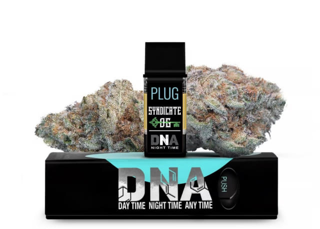 PlugPlay — Syndicate OG