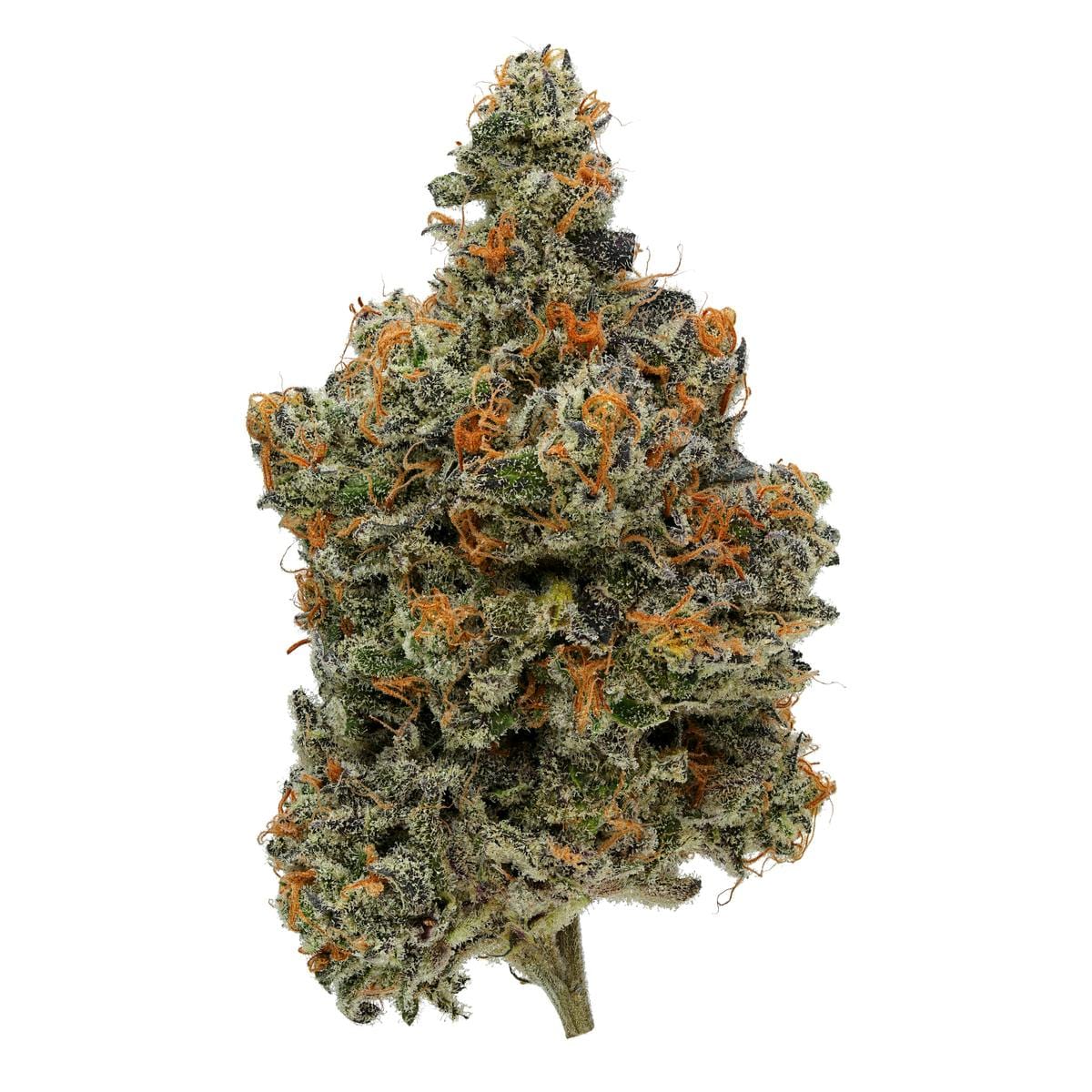 Lucid Blue | 3.5g