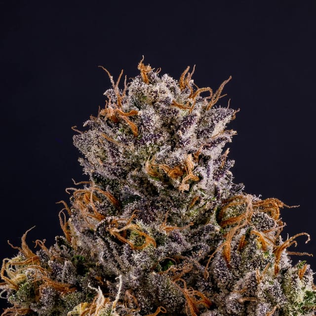 Fig Farms — Rapper Weed