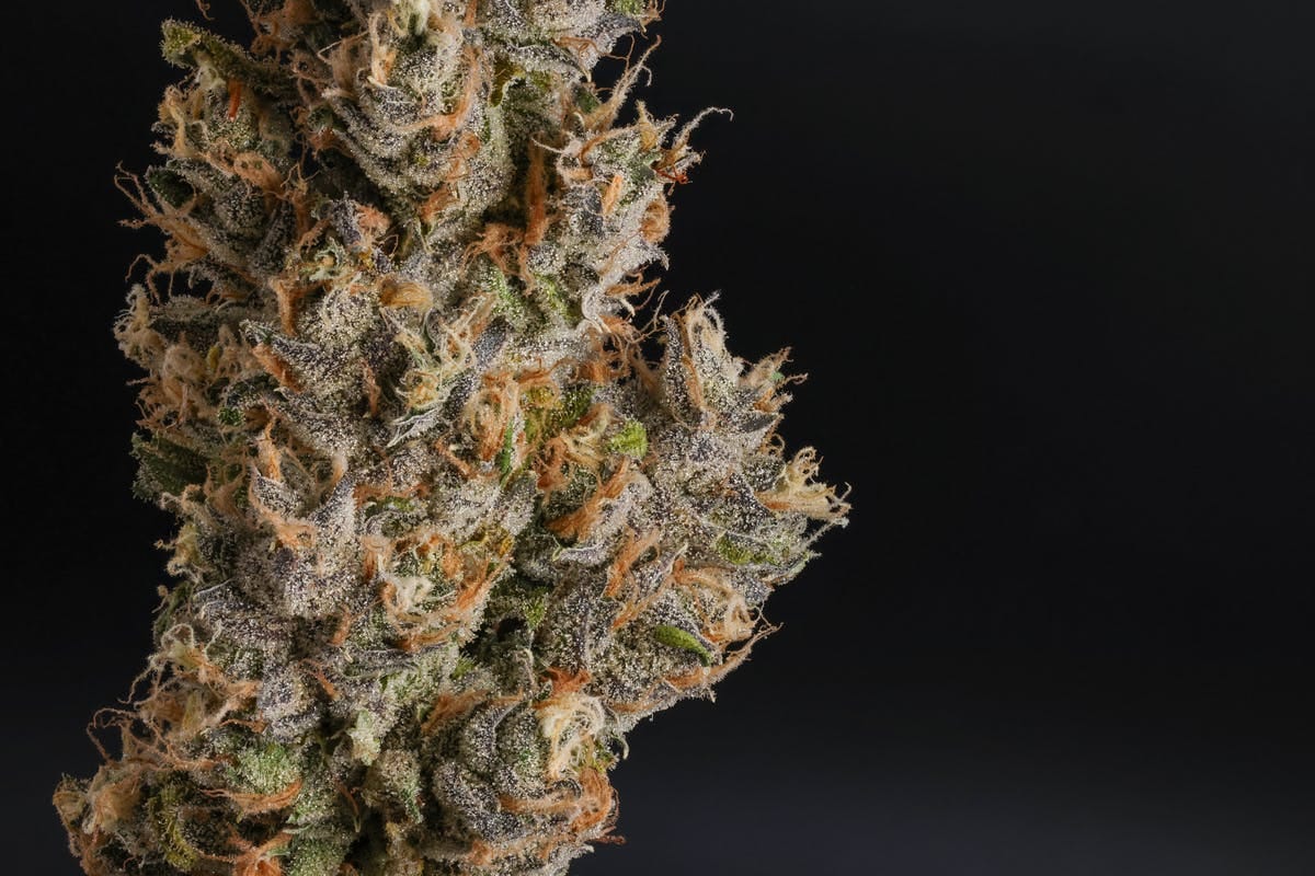 Fig Farms — Krypto Nectarines