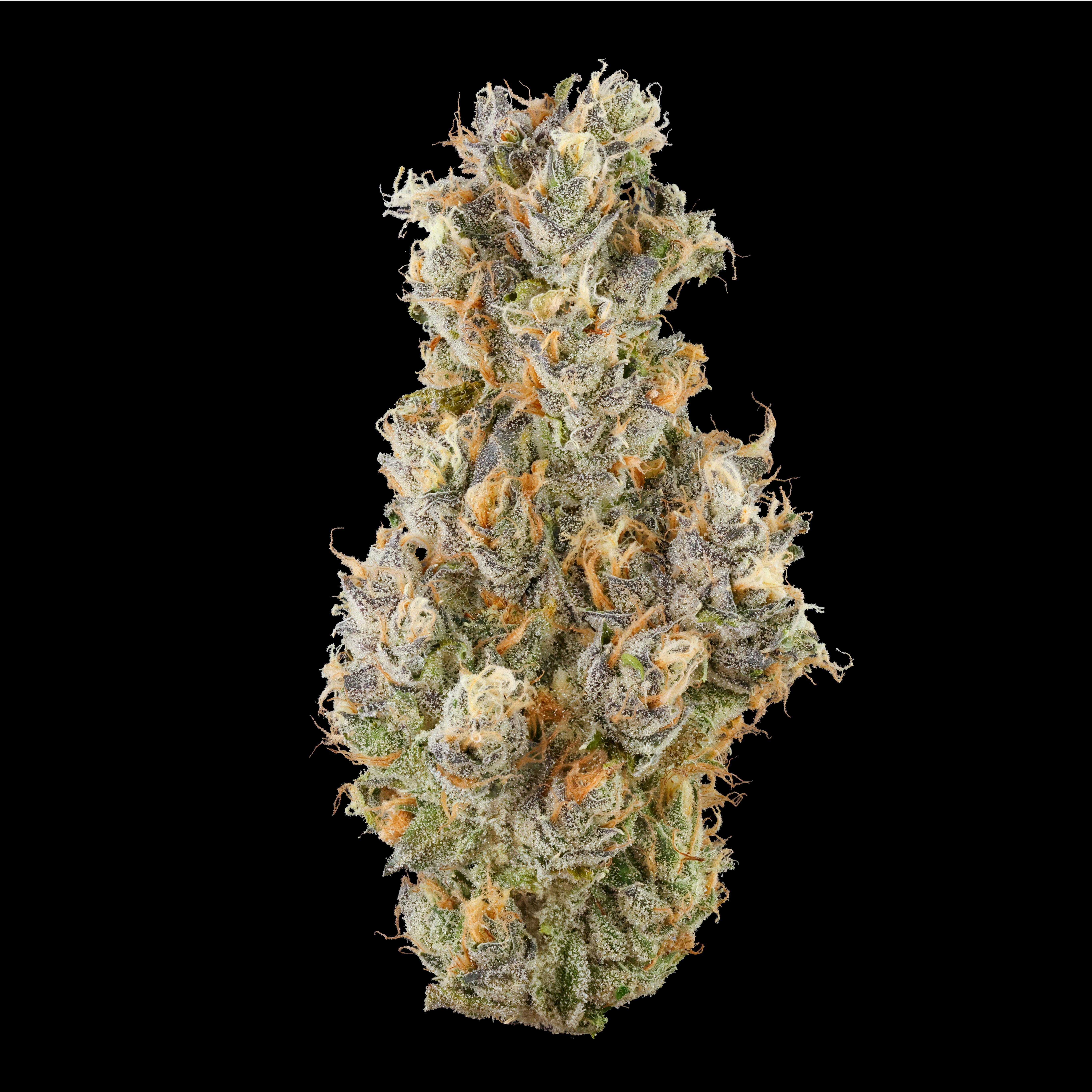 Fig Farms — Krypto Nectarines
