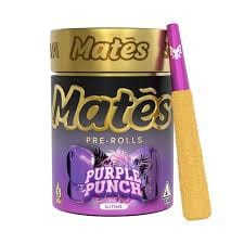 Purple Punch | 2.5g | .5g x 5 Infused Preroll Pack