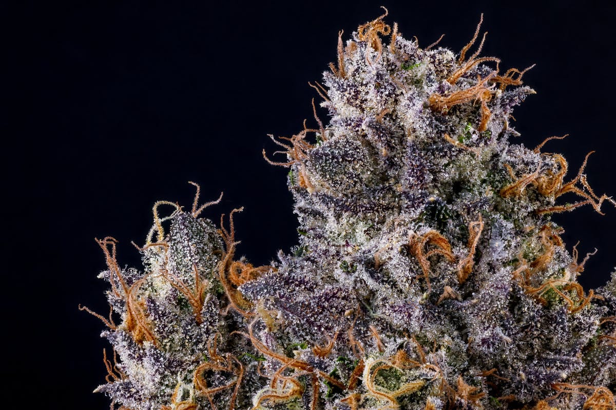 Rapper Weed | 3.5g