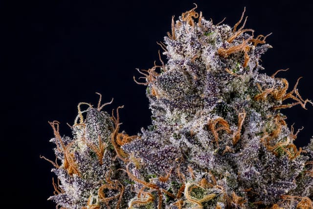 Rapper Weed | 3.5g