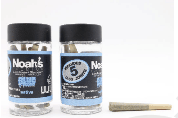 Noah's: Blue Poison
