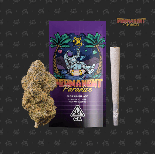SEED JUNKY — Permanent Paradize
