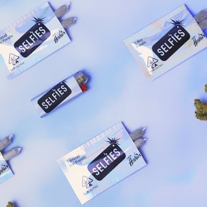 Blue Dream .5g Infused 2 Preroll Pack