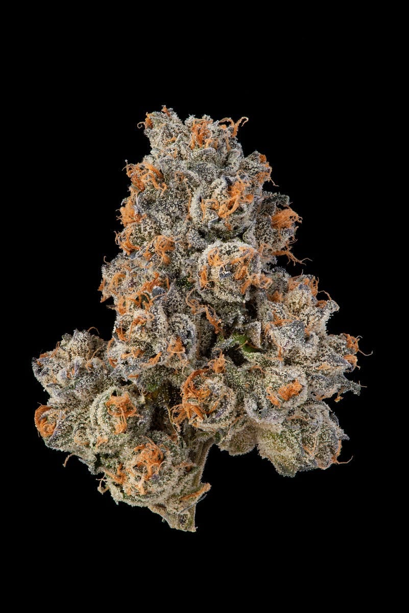 Fig Farms — Krypto Chronic #1