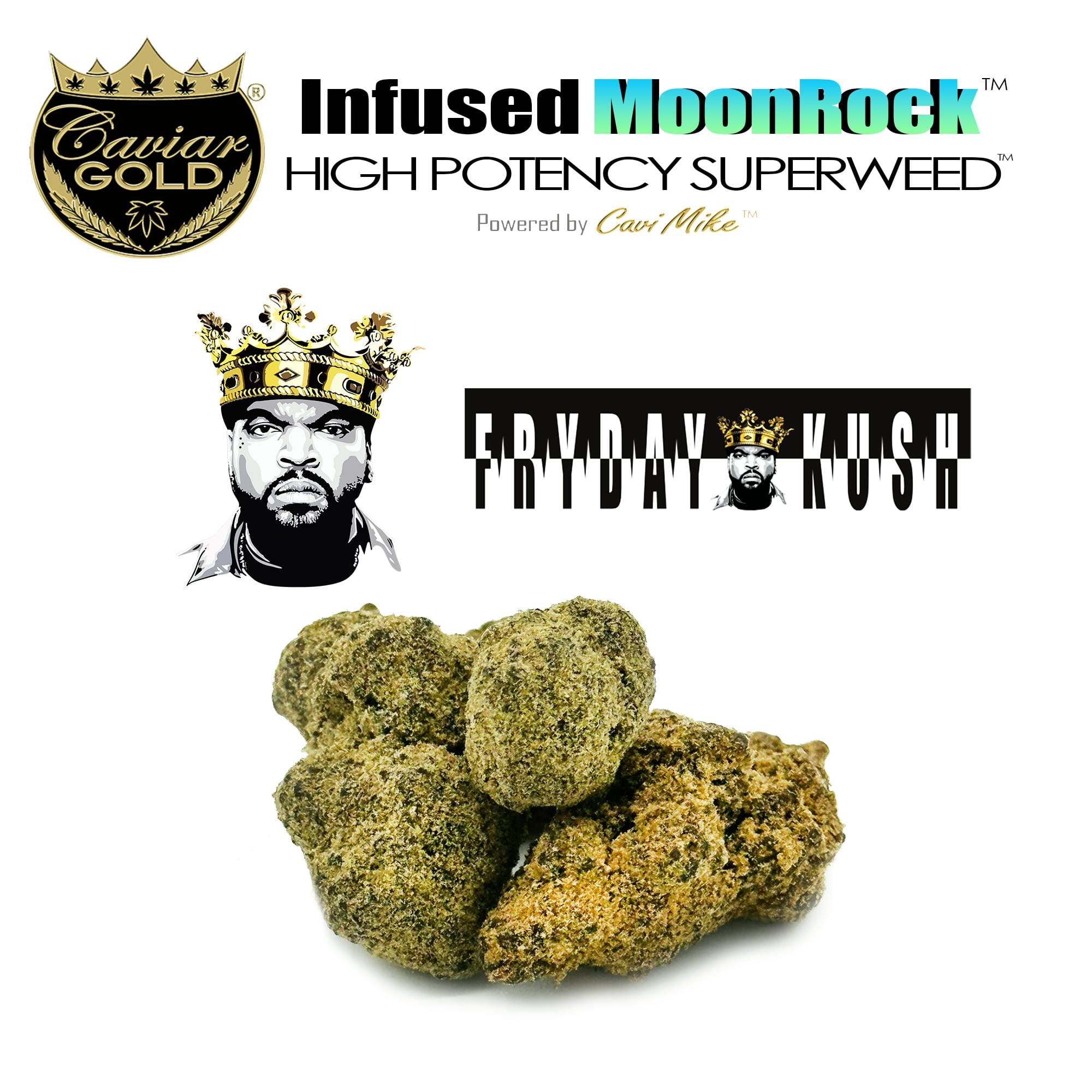 Fryday | 1g Moon Rocks