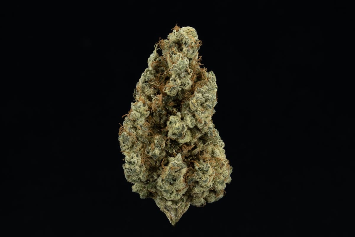 UpNorth — Maui Wowie