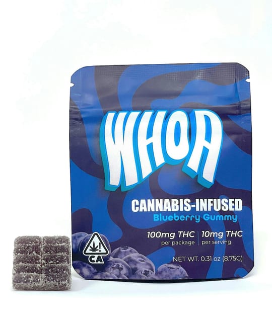 Blueberry Gummy Bite 100MG
