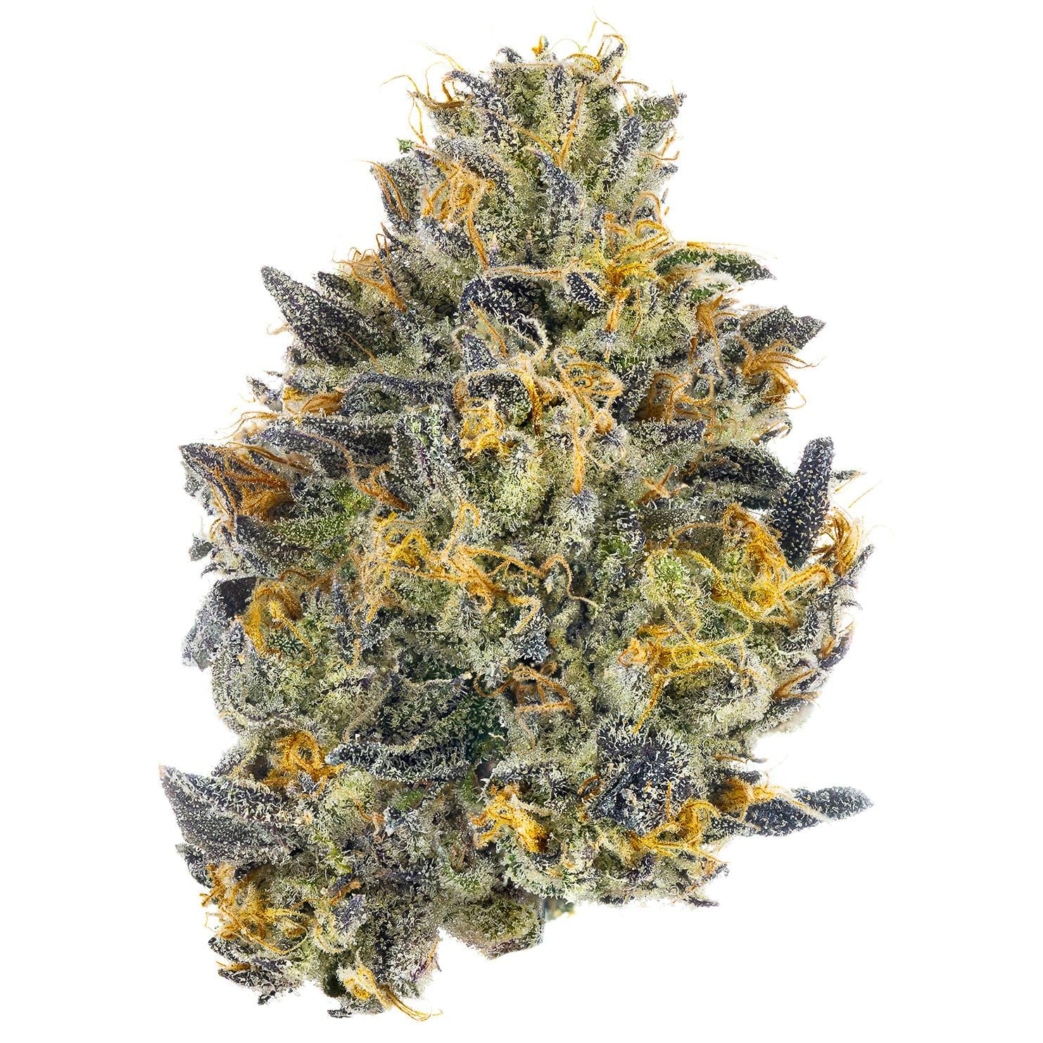 Fig Farms — Red Bubblegum