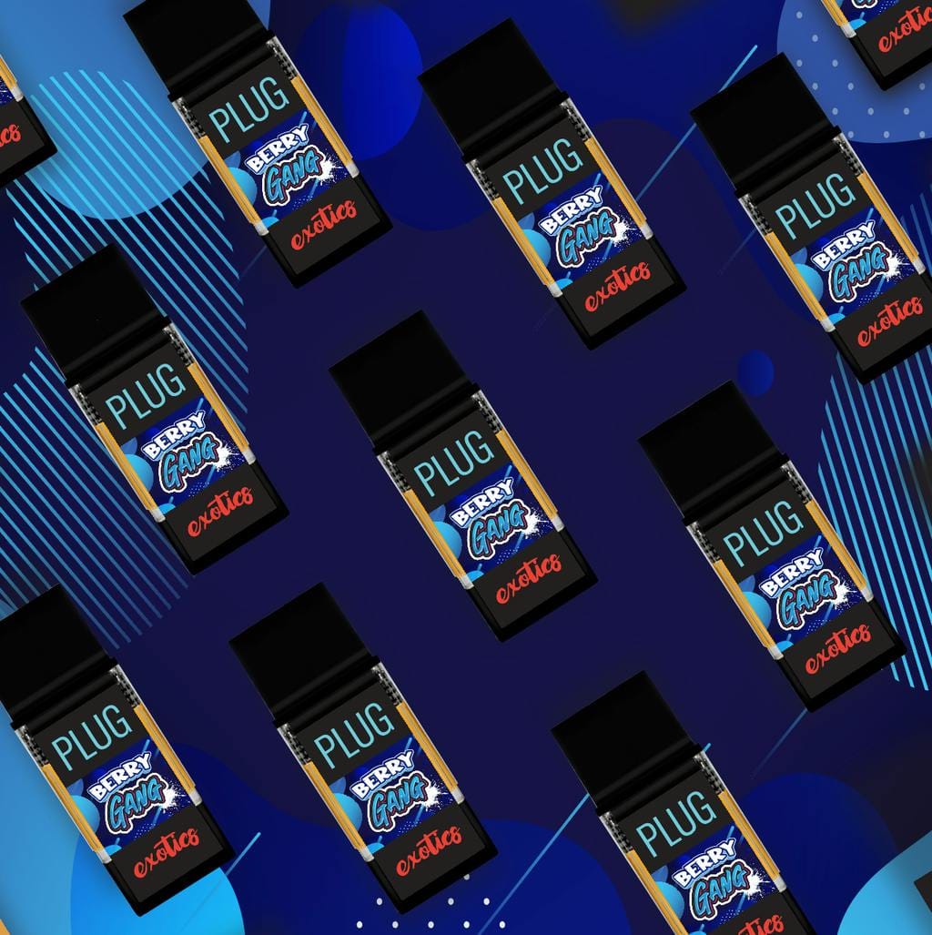 PlugPlay — Berry Gang
