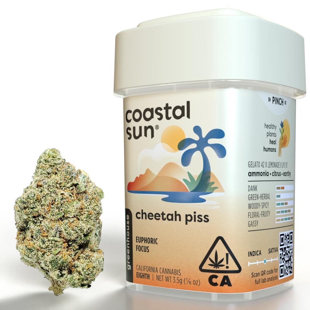 Coastal Sun: Cheetah Piss