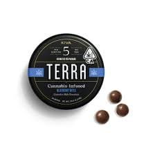 Blueberry Milk Chocolate Bites | 100mg
