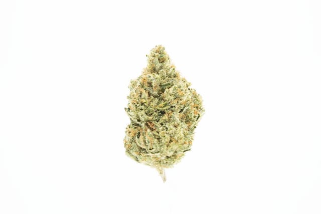 UpNorth — Headband