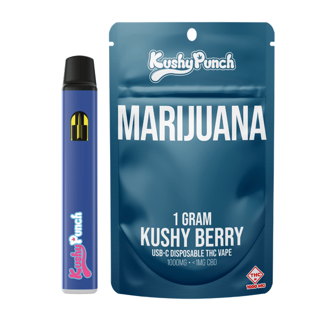 Kushy Berry | 1g AIO
